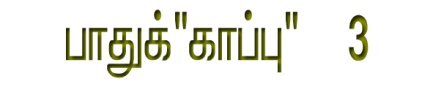 பெண்கள் சாதனை பயணம்