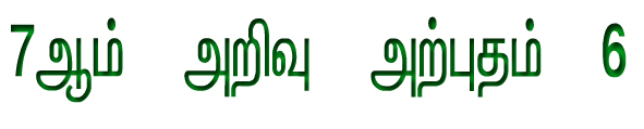 பெண்கள் சாதனை பயணம்