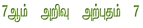 பெண்கள் சாதனை பயணம்