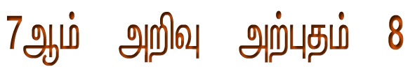 பெண்கள் சாதனை பயணம்