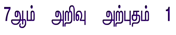 பெண்கள் சாதனை பயணம்